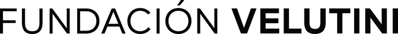 Fundación Velutini